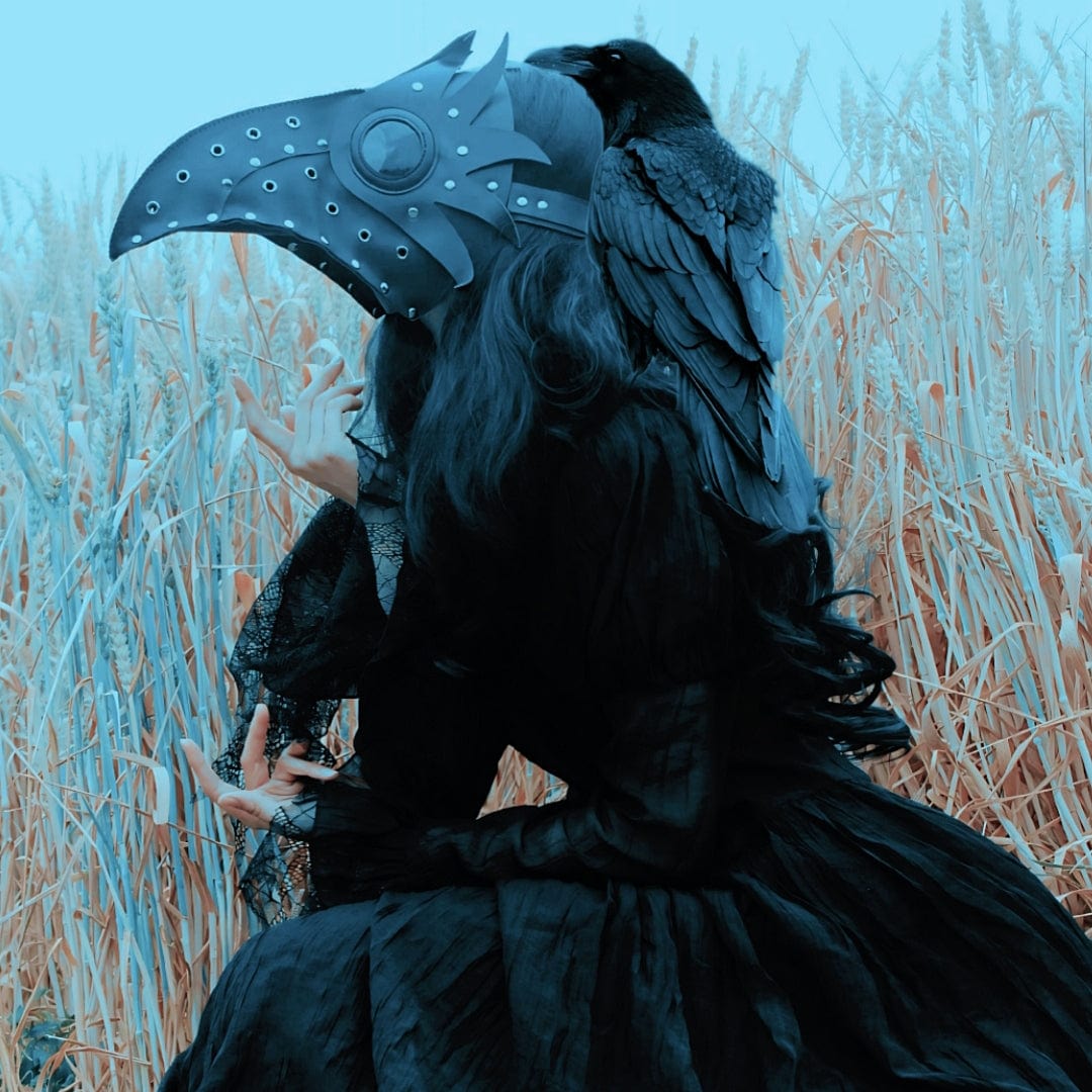 Kobine Steampunk Cutout Wing Beak Mask