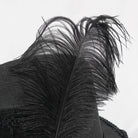 DEVIL FASHION Unisex Gothic Noir Floral Feather Top Hat with Net Veil