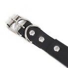 DEVIL FASHION Women's Gothic Studded Chain Choker With Breast Covers