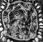 Kobine Home's Gothic Skull Printed Tapestry