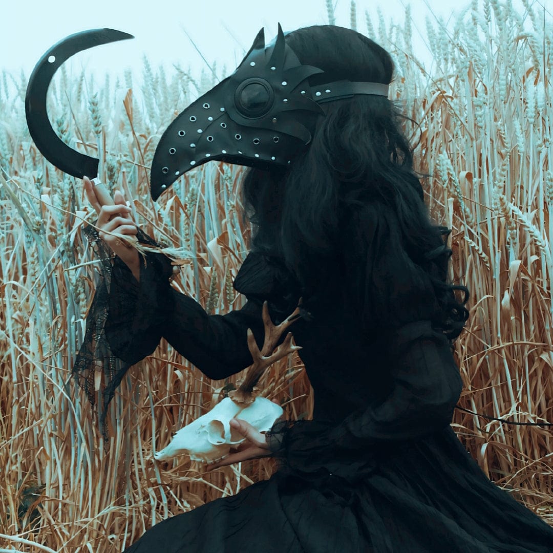 Kobine Steampunk Cutout Wing Beak Mask