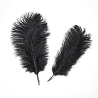 PUNK RAVE Unisex Gothic Dragon Bone Lace Hem Hat with Detachable Feather