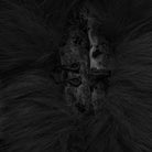 PUNK RAVE Women's Gothic Lace-up Faux Fur Splice Hooded Coat Black