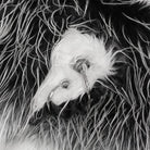 DEVIL FASHION Women's Gothic Gradient Cat Ear Scarf with Hood